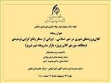جلسه دفاع از سمینار دوم رساله دکتری خانم مریم محفوظیان
